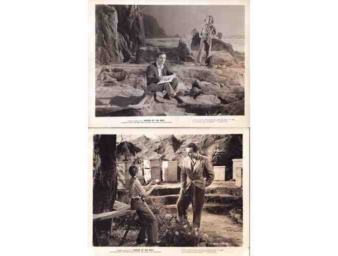 KEEPER OF THE BEES, 1947, movie stills, COLLECTORS LOT, Michael Duane, Gloria Henry