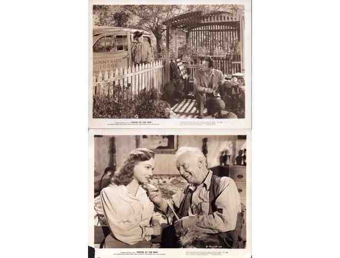 KEEPER OF THE BEES, 1947, movie stills, COLLECTORS LOT, Michael Duane, Gloria Henry