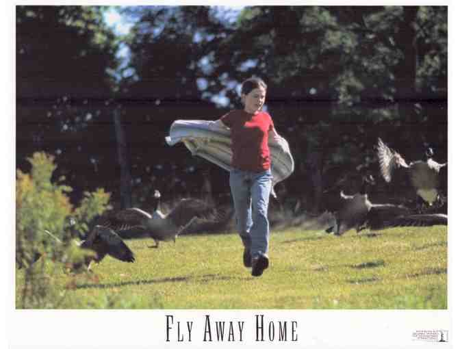 LOBBY CARDS MISC LOT 3 TWELVE DIFFERENT TITLES 1950s to 1990s