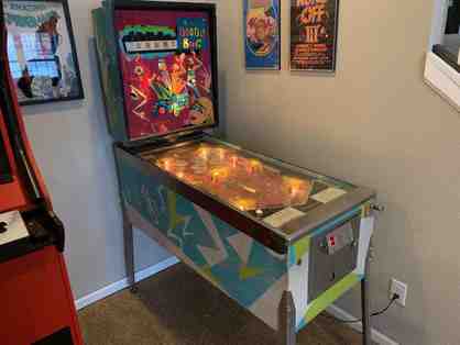 1971 Doodle Bug Pinball Machine by Williams