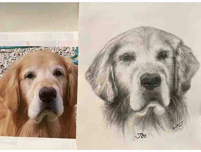 Pencil Portrait - By Rhea Banerjee (MTW Parent) - Artsy Rhealism