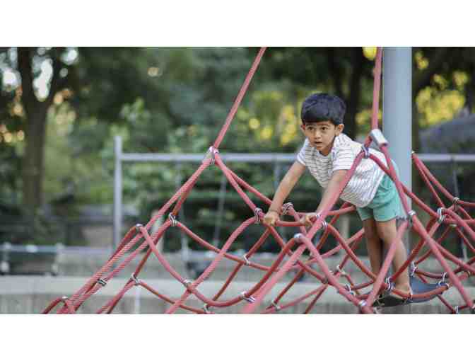 CLICKS THAT MATTER -Professionally captured family portraits in Central Park