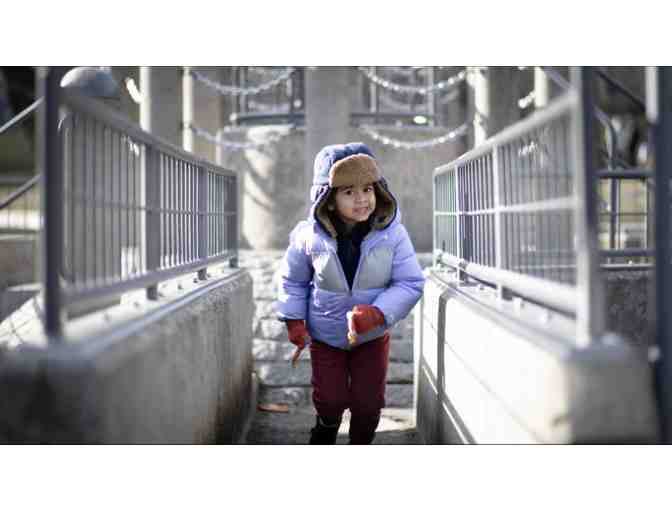 CLICKS THAT MATTER -Professionally captured family portraits in Central Park