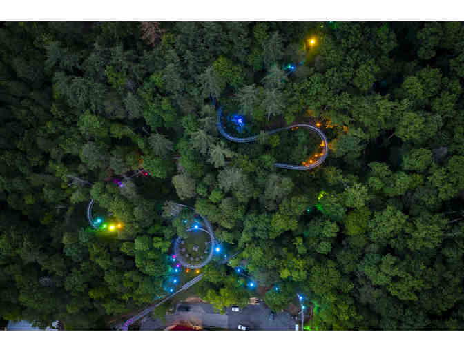 Moonshine Mountain Coaster (4) Ride Passes