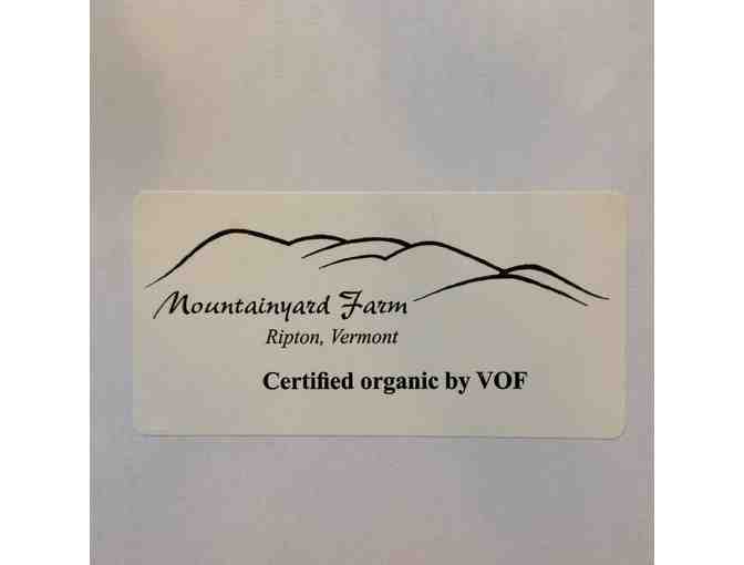 Organic Starts from Mountainyard Farm