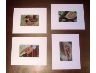 Set of 4 Sparrow Matted Postcards