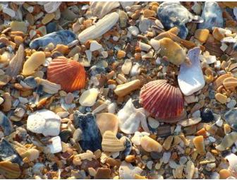 Outer Banks Beaches Notecards