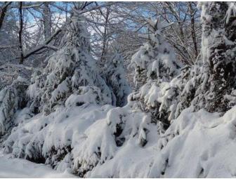 Western North Carolina Winter Notecards