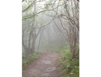 Western North Carolina Fog Notecards