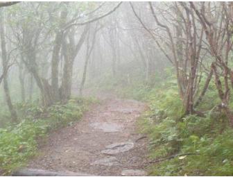 Western North Carolina Fog Notecards