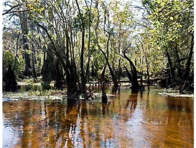 Cape Fear Half-Day River Cruise