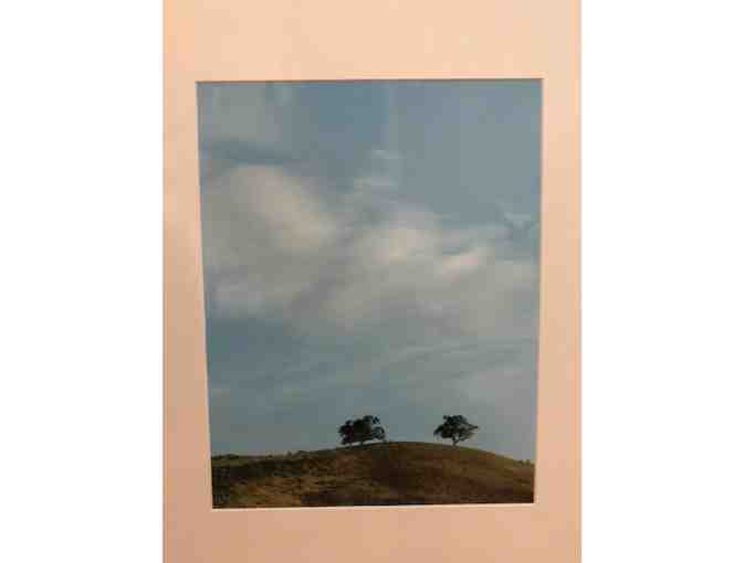 Two Trees Matted Print 11x14