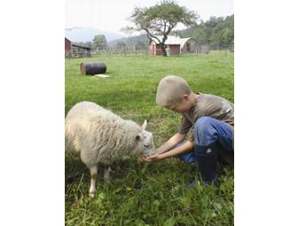 Frost Valley YMCA Summer Camp