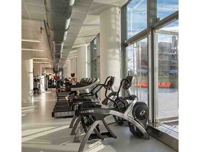 The Mercedes Club - 1 Month Health Membership