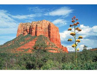 Tokyo String Quartet in Sedona for Two