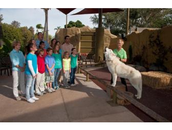 San Diego Zoo: Backstage Fun for a Family of Four