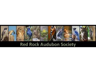 Red Rock Audubon Society: Guided Tour