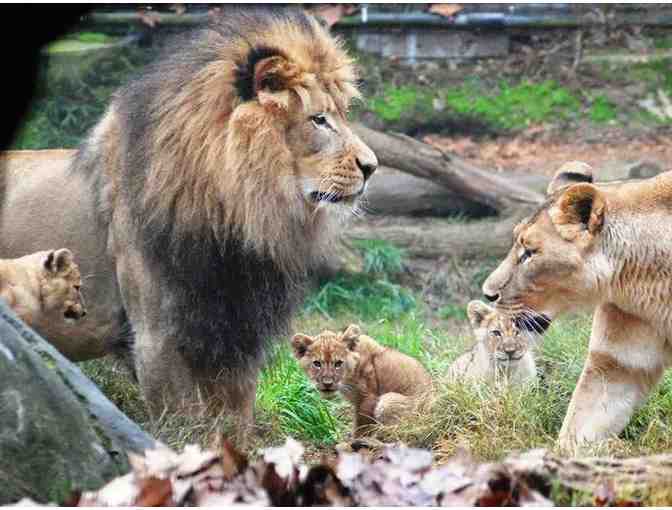 Sacramento Zoo: Family Pass Good for Four Free Admissions