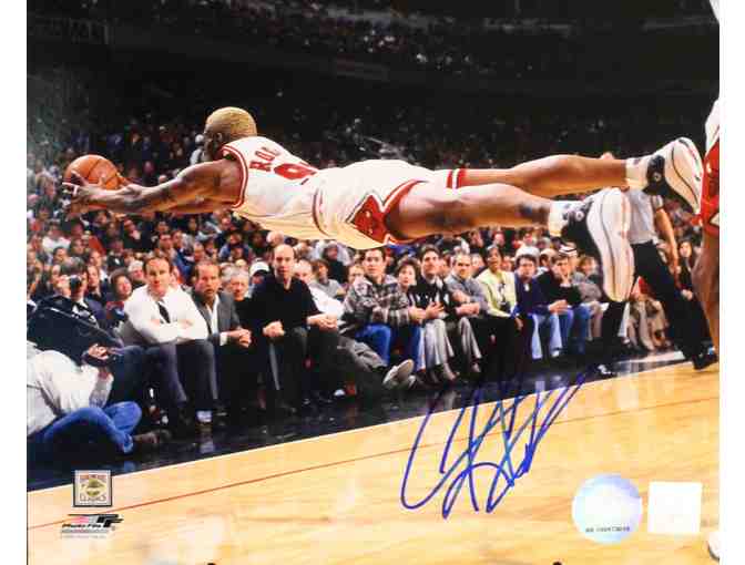 Signed Dennis Rodman Bulls photo
