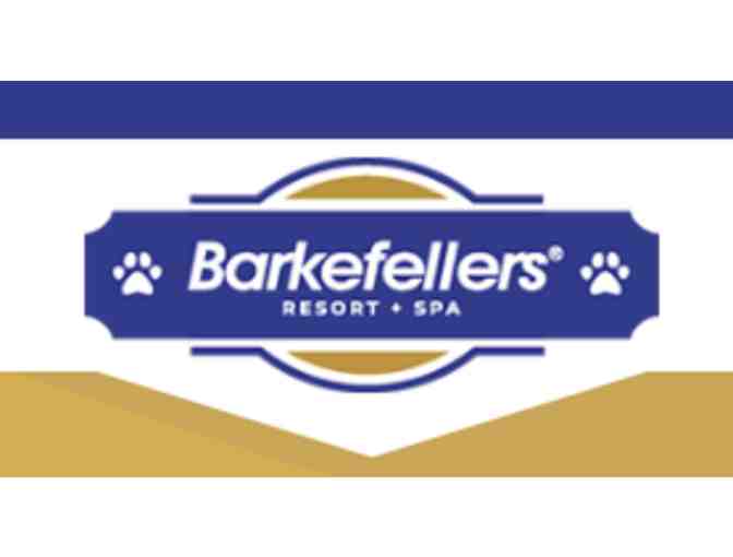 Barkefellers - The Place for Dogs! ($75) - Photo 1