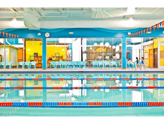 Two Months of Swim Lessons + 1 Year Membership at Goldfish Swim in Roscoe Village