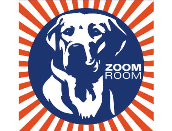 Zoom Room Chicago Dog Training Flex Pass for Group Classes (5)