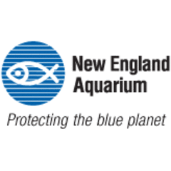 The New England Aquarium