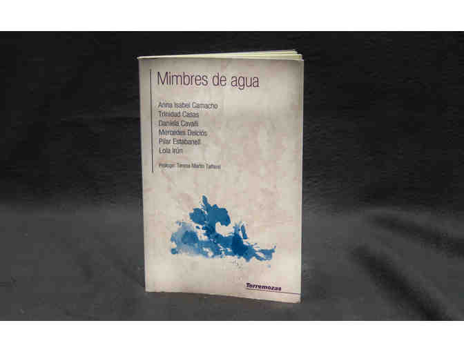 Mimbres de agua (collection of Spanish poems)