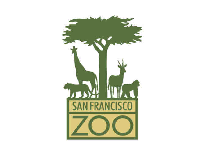 S.F. Zoo Adventure + Lunch with Erin Metcalf