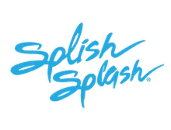 Splish Splash Waterpark Admission for 4