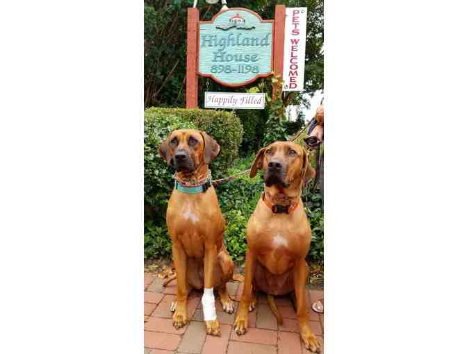 2-Night Stay at Highland House, Cape May (Pet Friendly)