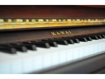 Kawai UST 12 Piano, Mark Leysen, artist