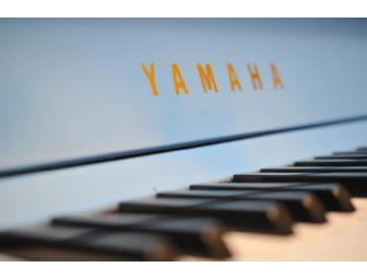 Yamaha P22 Piano, artist Brendan Sharkey