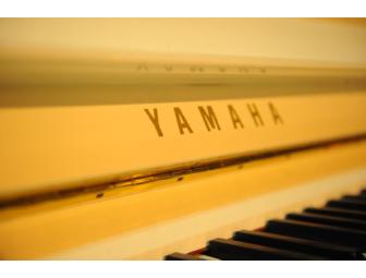 Disney Yamaha Piano, Kim Hooper, artist