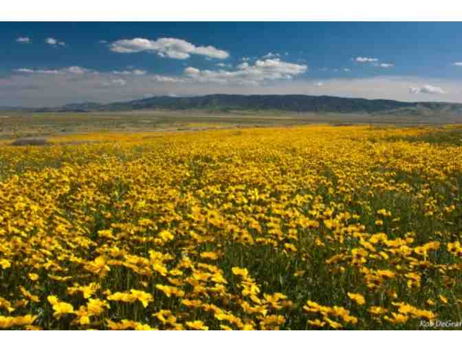 Two-Night Stay for 8 at the Historic Goodwin Ranch in the Carrizo Plain National Monument