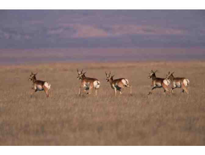 Two-Night Stay for 8 at the Historic Goodwin Ranch in the Carrizo Plain National Monument