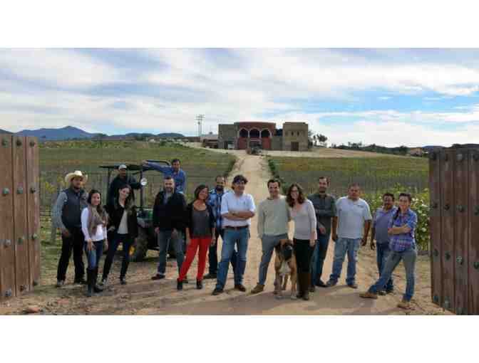 Guadalupe Valley Winery Tour and Ensenada Overnight Stay for 1