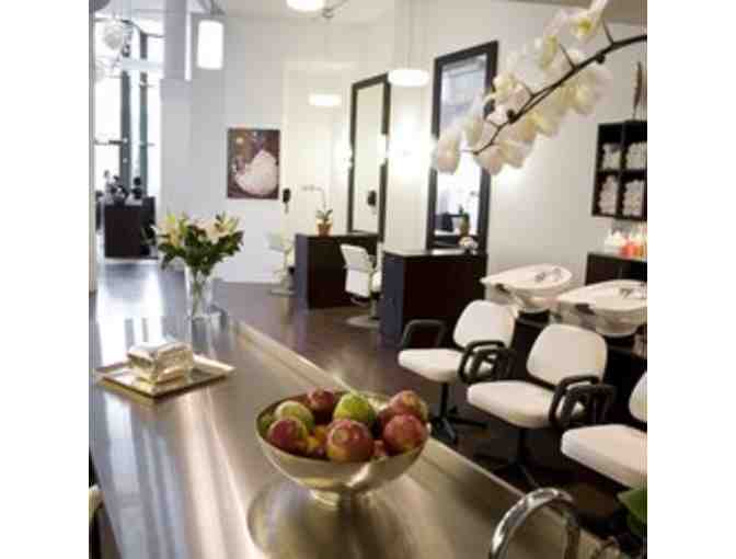 Gift Card to Johnathan Breitung Salon and Luxury Spa
