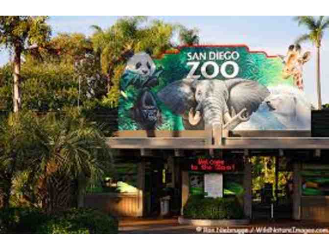 Fun at the San Diego Zoo Parks