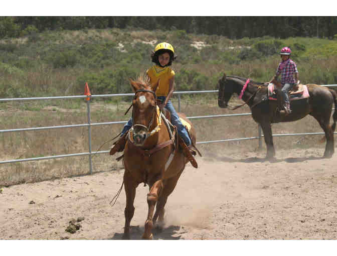 Horseback riding lesson from a master in AG-- 90 min