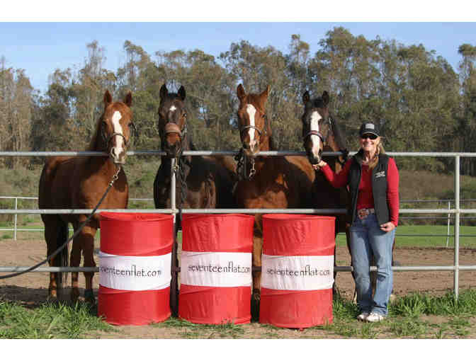 Horseback riding lesson from a master in AG-- 90 min