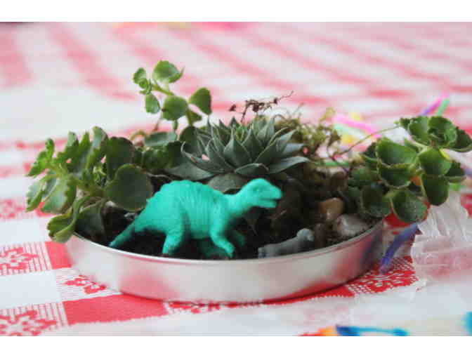 $25 a spot: Build a Terrarium Class for 1st-5th grade aged students