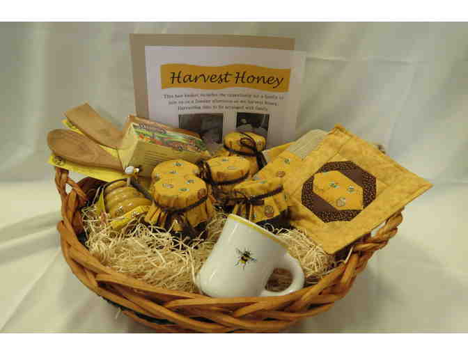 Harvest Honey Experience with the Nishimori's