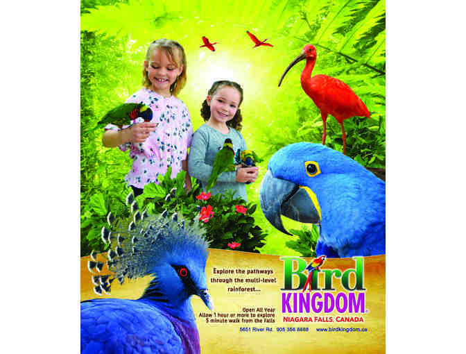 Family Pass to Bird Kingdom