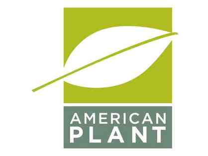 American Plant - $100 Gift Card