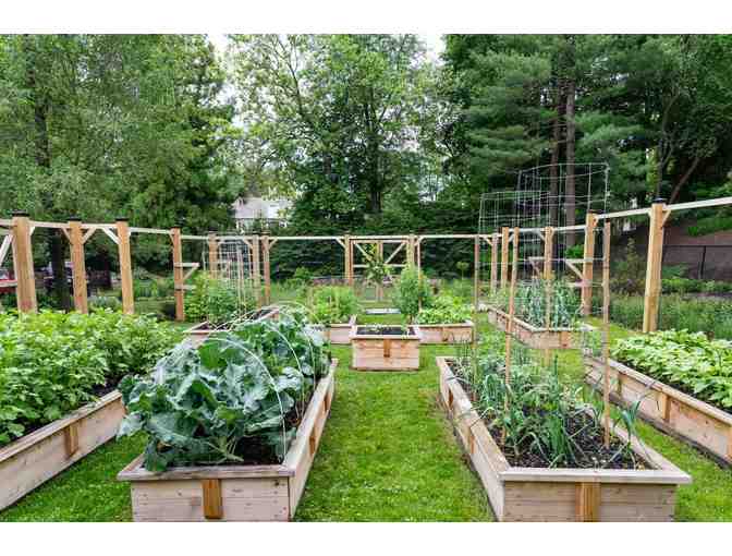 Love and Carrots Consultation - Home Organic Garden Consultation