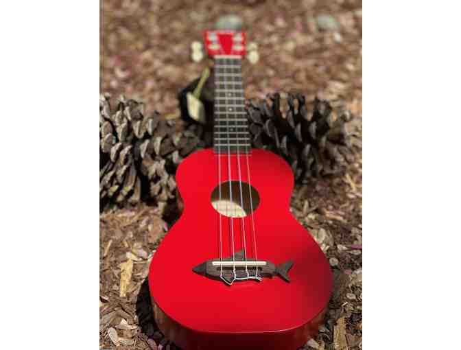 Ukulele and Ukulele Lesson at Middle C Music