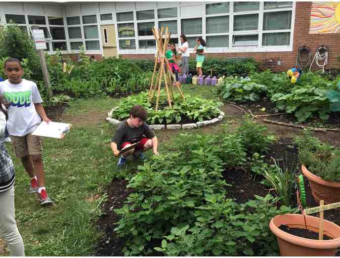 Master Gardener for A Day at Claremont School!