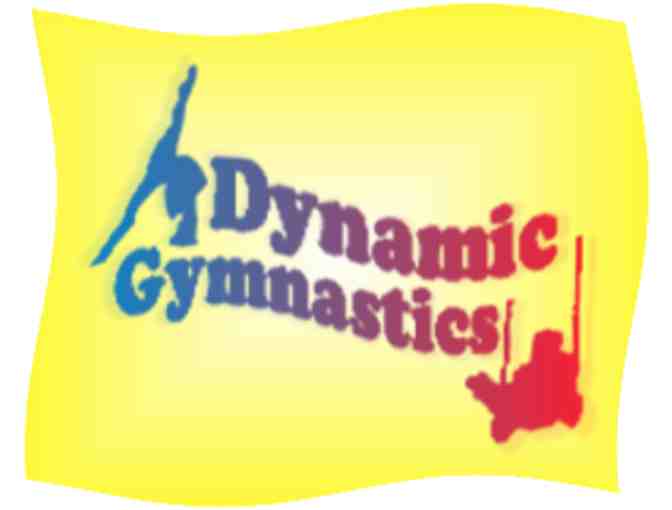 4 classes at Dynamic Gymnastics
