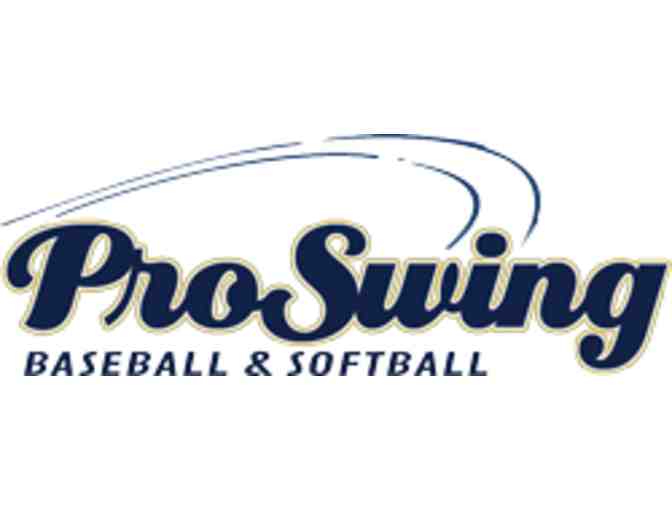 One 45-minute private baseball lesson at ProSwing Baseball & Softball Training Center